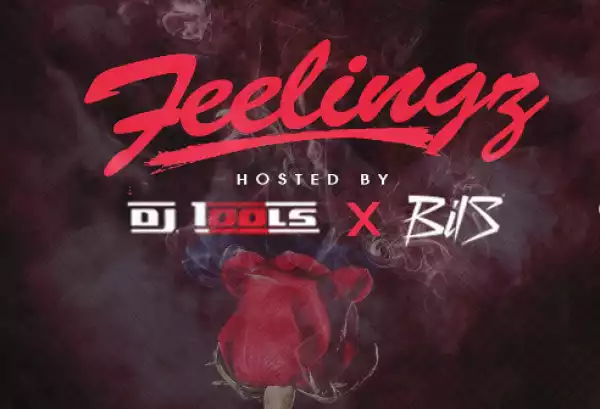 Dj Tools - Feelingz Mix ft. Bils